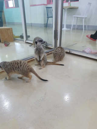 박인덕님이 올린 리뷰 사진 2