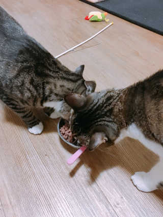 징니คʕ•ﻌ•ʔค님이 올린 리뷰 사진 3