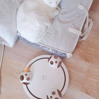 정혜님이 올린 리뷰 사진 3