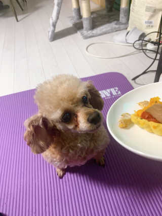 랑이님이 올린 리뷰 사진 1