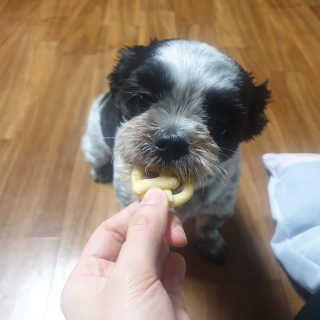 가횽님이 올린 리뷰 사진 3