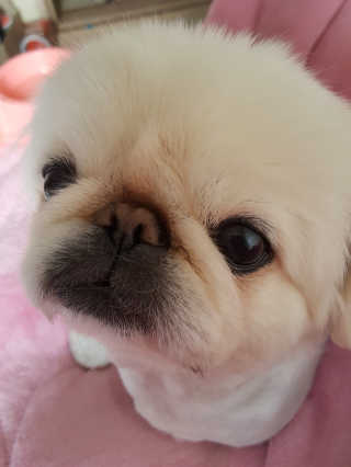 조지닭님이 올린 리뷰 사진 2