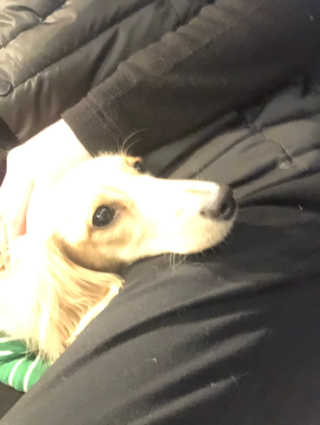 쿠우님이 올린 리뷰 사진 2