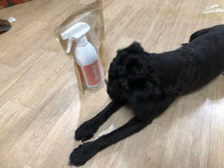 유짱님이 올린 리뷰 사진 1