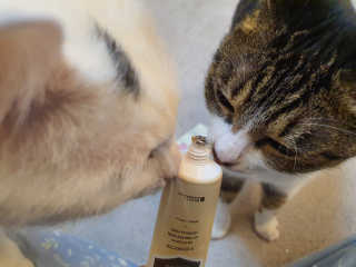 메이메리 쓰리이펙츠 모이스처 톤업크림 50ml — 5점을 준 리뷰어가 2020년 1월 올린 사용 사진