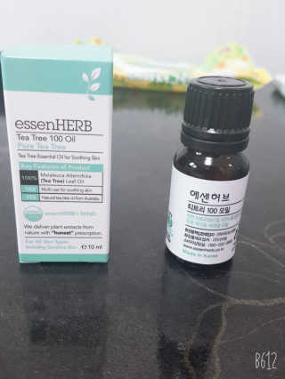 레몬트리님이 올린 리뷰 사진 1