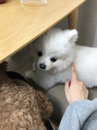 이성민님이 올린 리뷰 사진 3