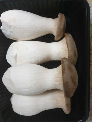 다다름님이 올린 리뷰 사진 1