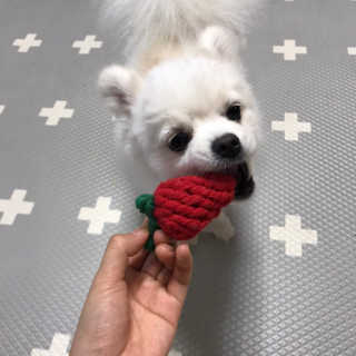 박수진님이 올린 리뷰 사진 2