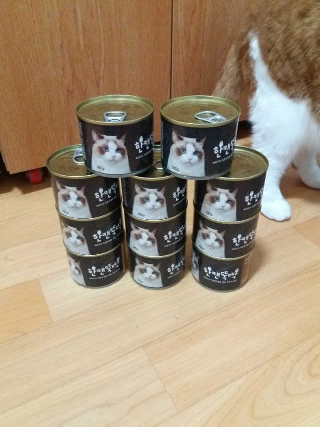 [펫토리아] BEST 한캔뚝딱 고양이 주식캔 리뷰 사진