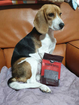 beaglelove님이 올린 리뷰 사진 1