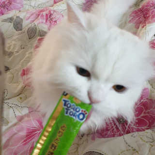 영니님이 올린 리뷰 사진 3
