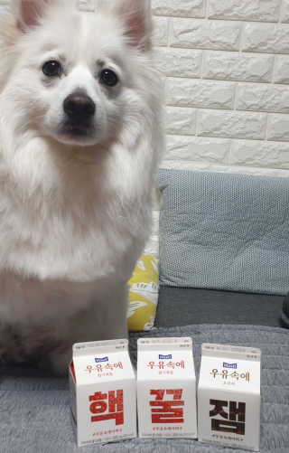 [매일유업] 우유속에 어쩌구_7개 모바일쿠폰 — 4점을 준 리뷰어가 2019년 6월 올린 사용 사진