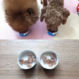 펫츠플레이트 동결건조간식 기호성 테스트 8종 — 5점을 준 리뷰어가 2018년 6월 올린 사용 사진