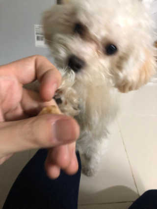 코딱지님이 올린 리뷰 사진 2