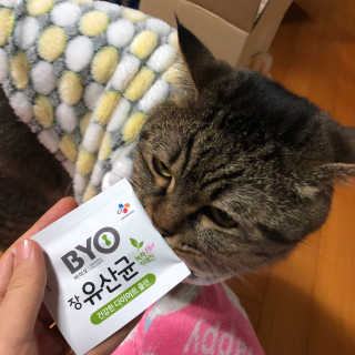 bongbong님이 올린 리뷰 사진 3