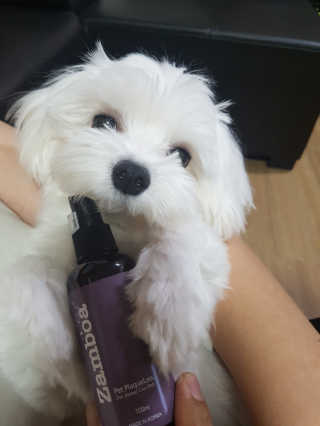 블링데코님이 올린 리뷰 사진 1