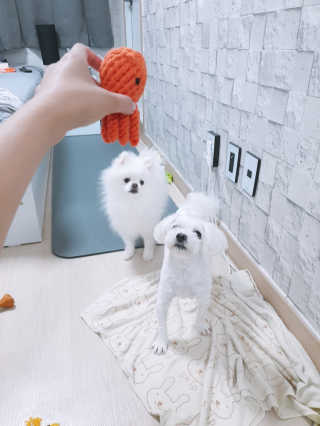 황선아님이 올린 리뷰 사진 2
