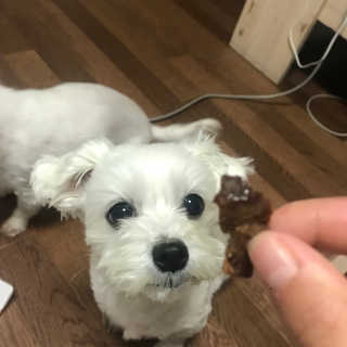 민수님이 올린 리뷰 사진 1