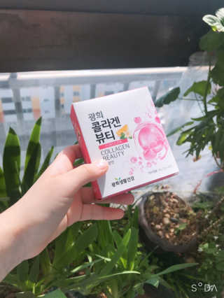 초록이님이 올린 리뷰 사진 2