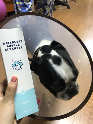 오수빈님이 올린 리뷰 사진 1