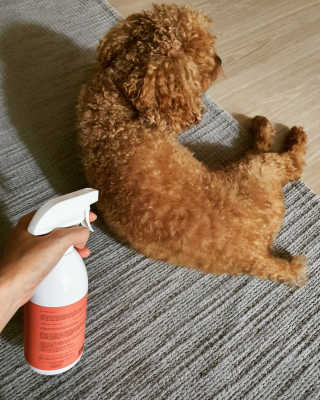 narae님이 올린 리뷰 사진 3