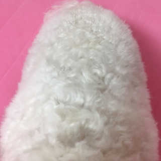 설량님이 올린 리뷰 사진 4