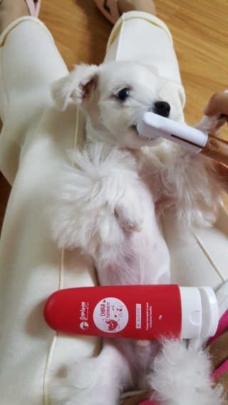 시현맘님이 올린 리뷰 사진 3