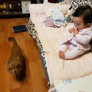 Rushx님이 올린 리뷰 사진 4