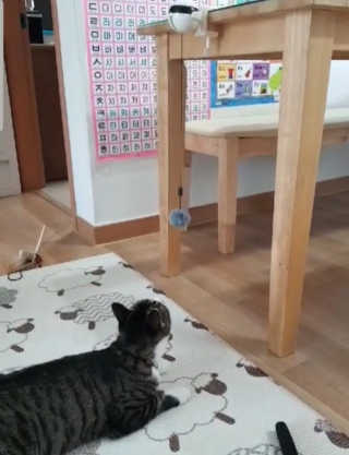 mini unni님이 올린 리뷰 사진 2