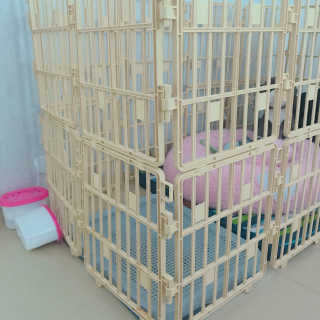 ye0229님이 올린 리뷰 사진 1