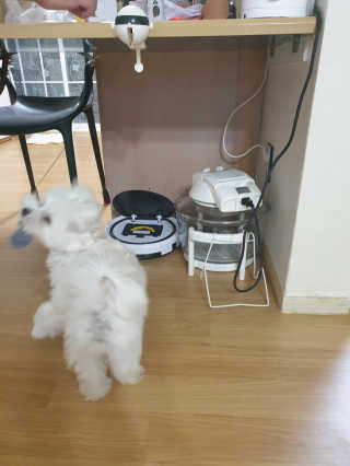 삐랭이님이 올린 리뷰 사진 3