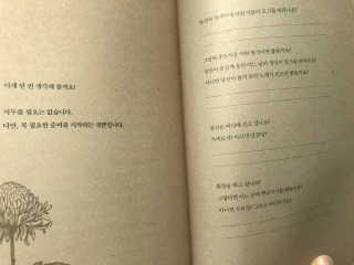 보담님이 올린 리뷰 사진 4