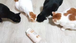 yume님이 올린 리뷰 사진 1