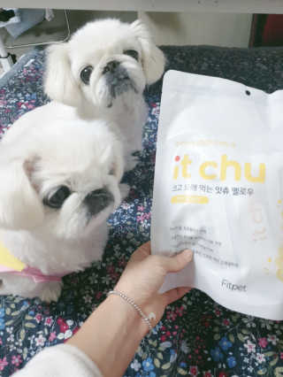 핏펫 NEW 잇츄 — 5점을 준 리뷰어가 2019년 12월 올린 사용 사진
