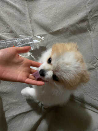ㄹ발음님이 올린 리뷰 사진 4
