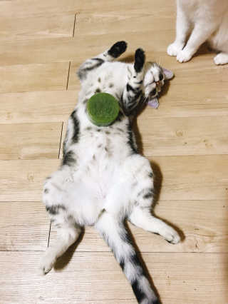 김별님이 올린 리뷰 사진 4