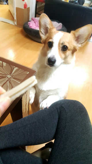안아줘요무무님이 올린 리뷰 사진 1