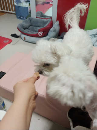 부부부부님이 올린 리뷰 사진 3