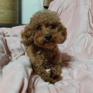 seni님이 올린 리뷰 사진 3