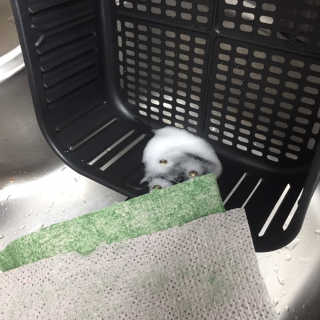 doekwys님이 올린 리뷰 사진 2