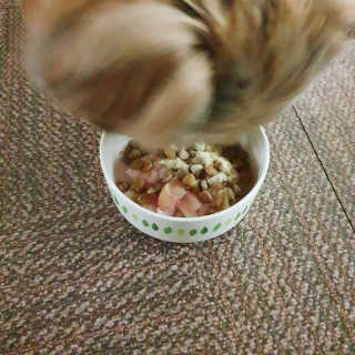 Rooloo님이 올린 리뷰 사진 2