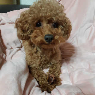 seni님이 올린 리뷰 사진 4