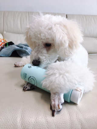 해롱이님이 올린 리뷰 사진 3