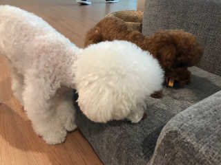 으뇨님이 올린 리뷰 사진 3