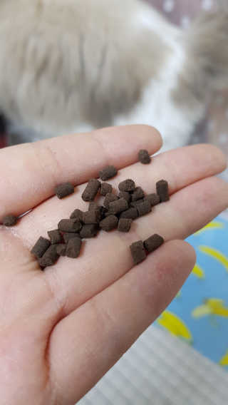 동그링님이 올린 리뷰 사진 3