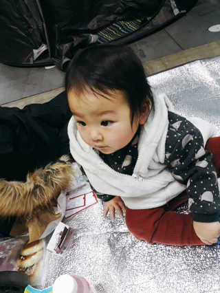 또이따인님이 올린 리뷰 사진 4