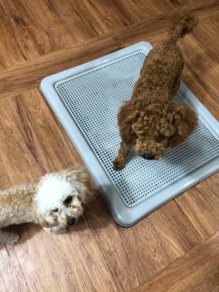 밍굴이님이 올린 리뷰 사진 2
