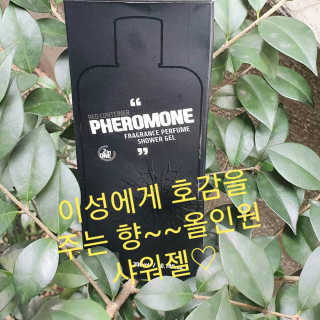 참살이님이 올린 리뷰 사진 2