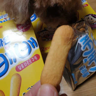 🐕삐딱이💖💖💖님이 올린 리뷰 사진 2